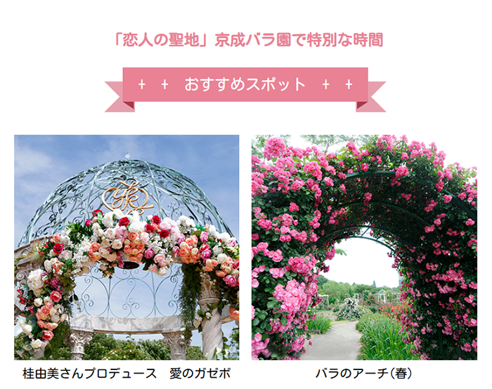 №004　京成バラ園｜Webサイト100選