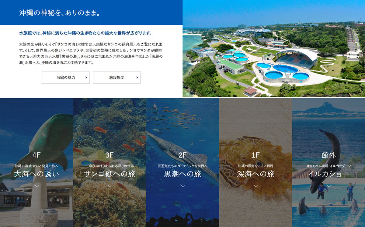 №006　美ら海水族館　沖縄の海の神秘と水族館の魅力