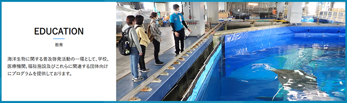 №006　美ら海水族館　沖縄の海の神秘と水族館の魅力