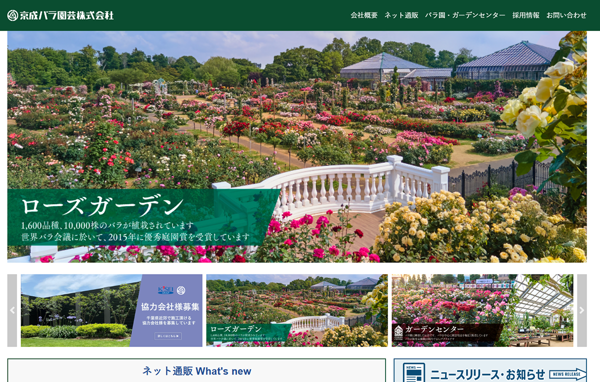 №004　京成バラ園　Keisei Rose