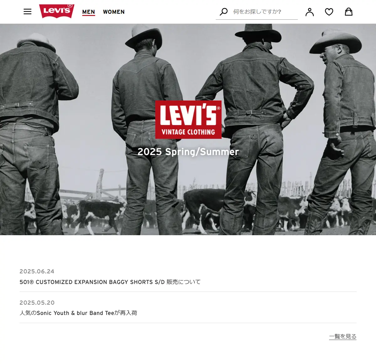 №008　LEVI’S　リーバイス